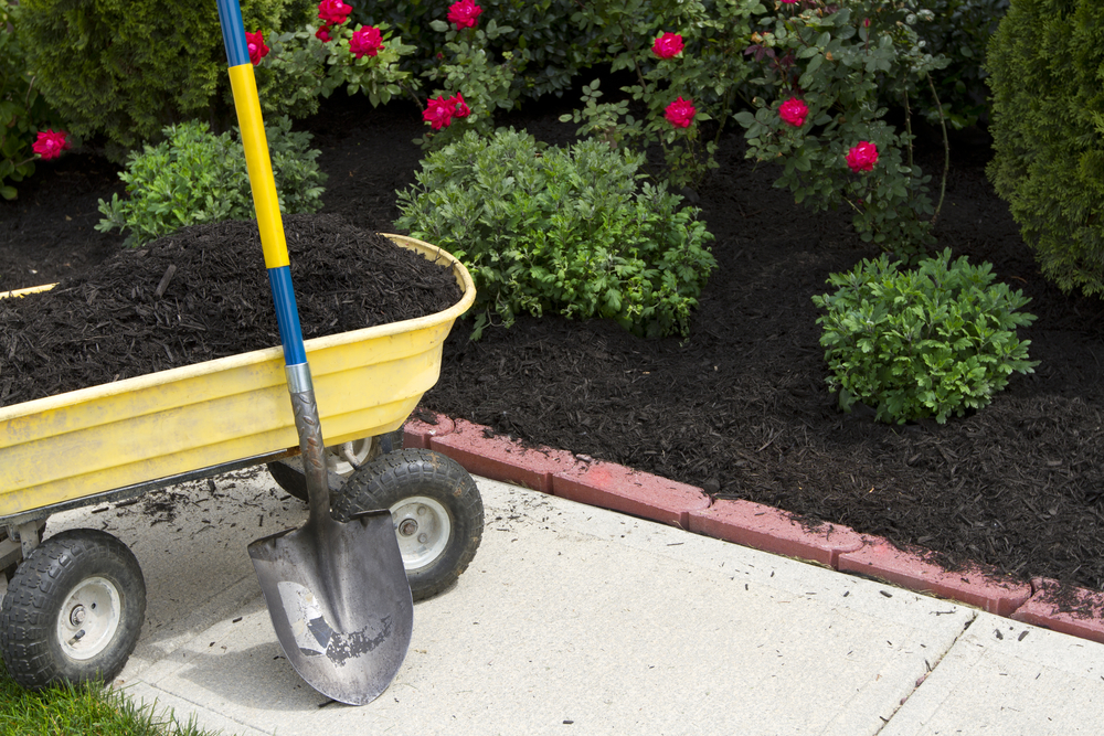 fresh mulch being spread from a yellow wagon to a flower bed.